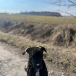 Luke – fotografie 36