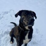 Luke – fotografie 10