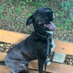 Luke – fotografie 7