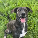 Luke – fotografie 19