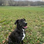 Luke – fotografie 8