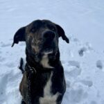 Luke – fotografie 11