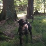 Luke – fotografie 47
