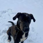 Luke – fotografie 12