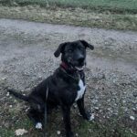 Luke – fotografie 14