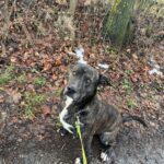 Luke – fotografie 28