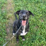 Luke – fotografie 6