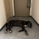 Luke – fotografie 49