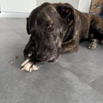 Luke – fotografie 50