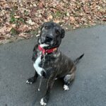 Luke – fotografie 15