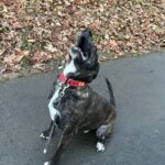 Luke – fotografie 16