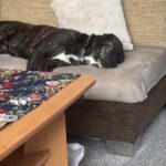 Luke – fotografie 53