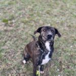 Luke – fotografie 37