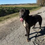 Luke – fotografie 5