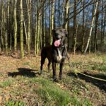 Luke – fotografie 3