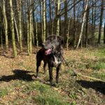 Luke – fotografie 4