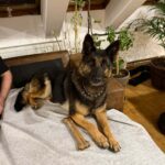 Querida – fotografie 11