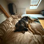 Querida – fotografie 14