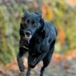 Ený – fotografie 22