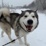 Maxík – fotografie 30