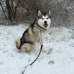 Maxík – fotografie 31