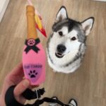 Maxík – fotografie 32