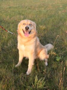 Teo – REZERVOVANÝ