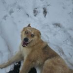 Teo – fotografie 18