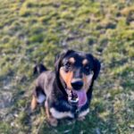 Barnabáš – fotografie 19