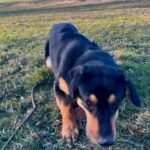 Barnabáš – fotografie 22