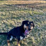 Barnabáš – fotografie 20