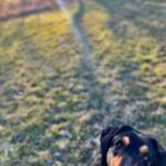 Barnabáš – fotografie 23