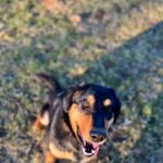 Barnabáš – fotografie 21