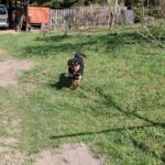 Barnabáš – fotografie 35