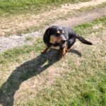 Barnabáš – fotografie 37