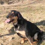 Barnabáš – fotografie 7