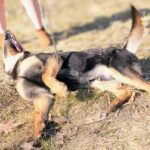 Barnabáš – fotografie 5