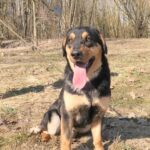 Barnabáš – fotografie 3