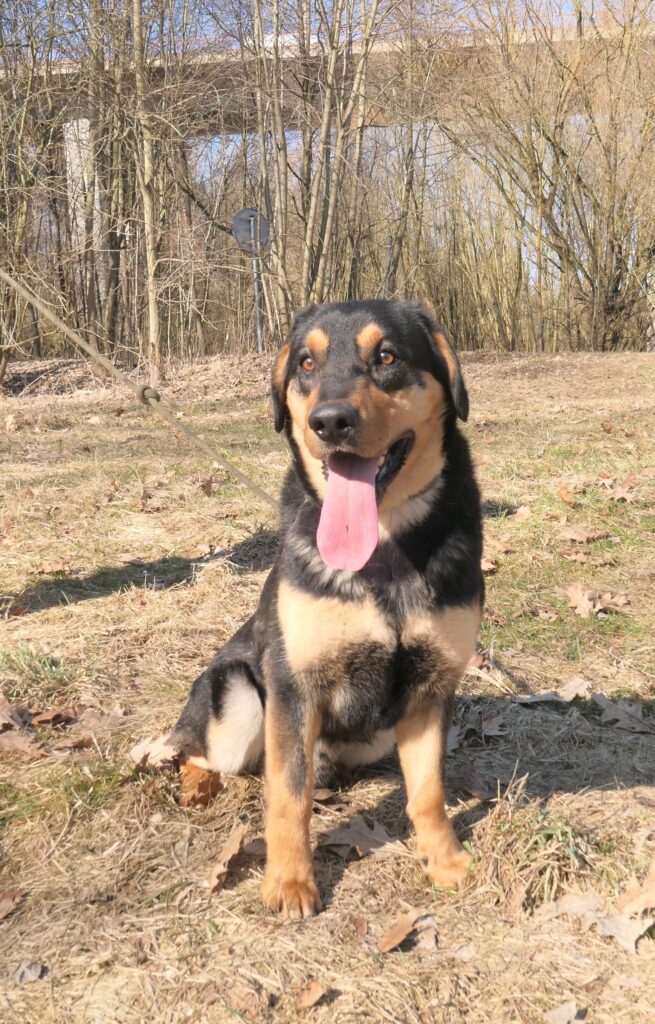 Barnabáš – fotografie 2