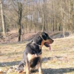 Barnabáš – fotografie 8