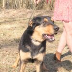 Barnabáš – fotografie 9