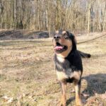 Barnabáš – fotografie 6