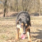 Barnabáš – fotografie 10