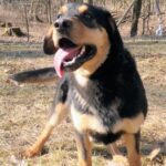 Barnabáš – fotografie 4