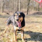 Barnabáš – fotografie 12