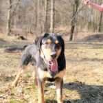 Barnabáš – fotografie 13