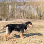 Barnabáš – fotografie 14