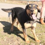 Barnabáš – fotografie 15