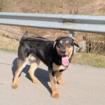 Barnabáš – fotografie 16