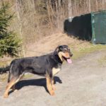 Barnabáš – fotografie 17